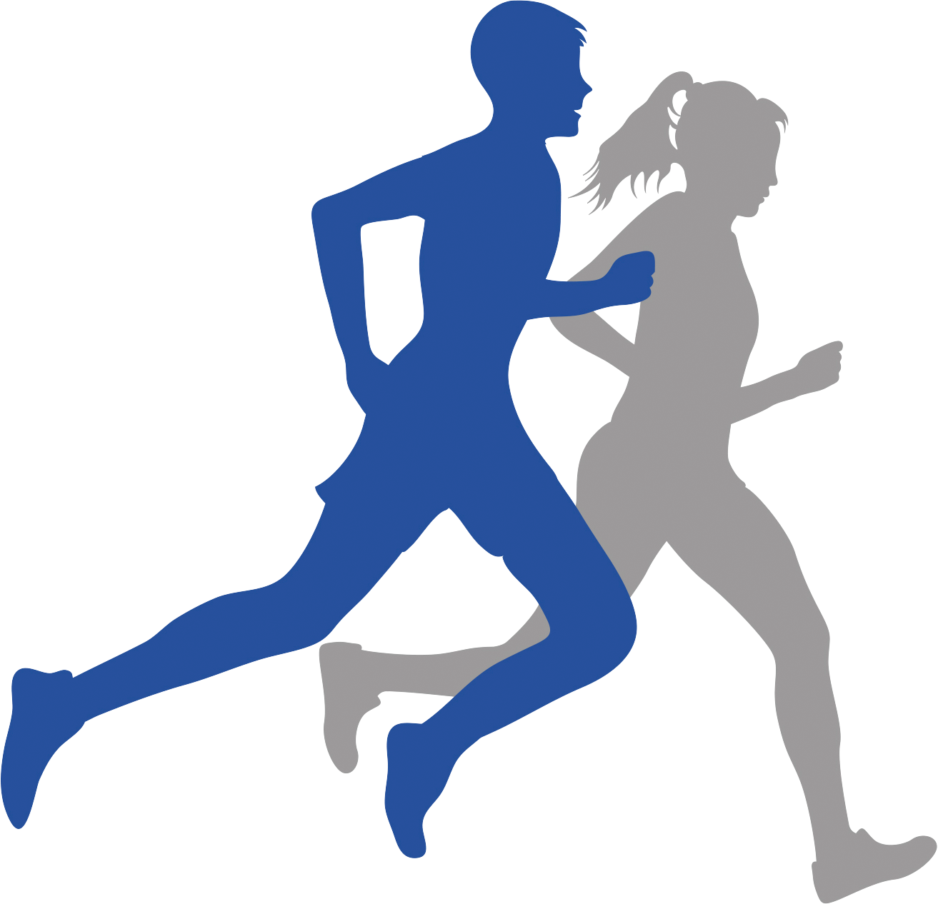 Ditzinger Lebenslauf
